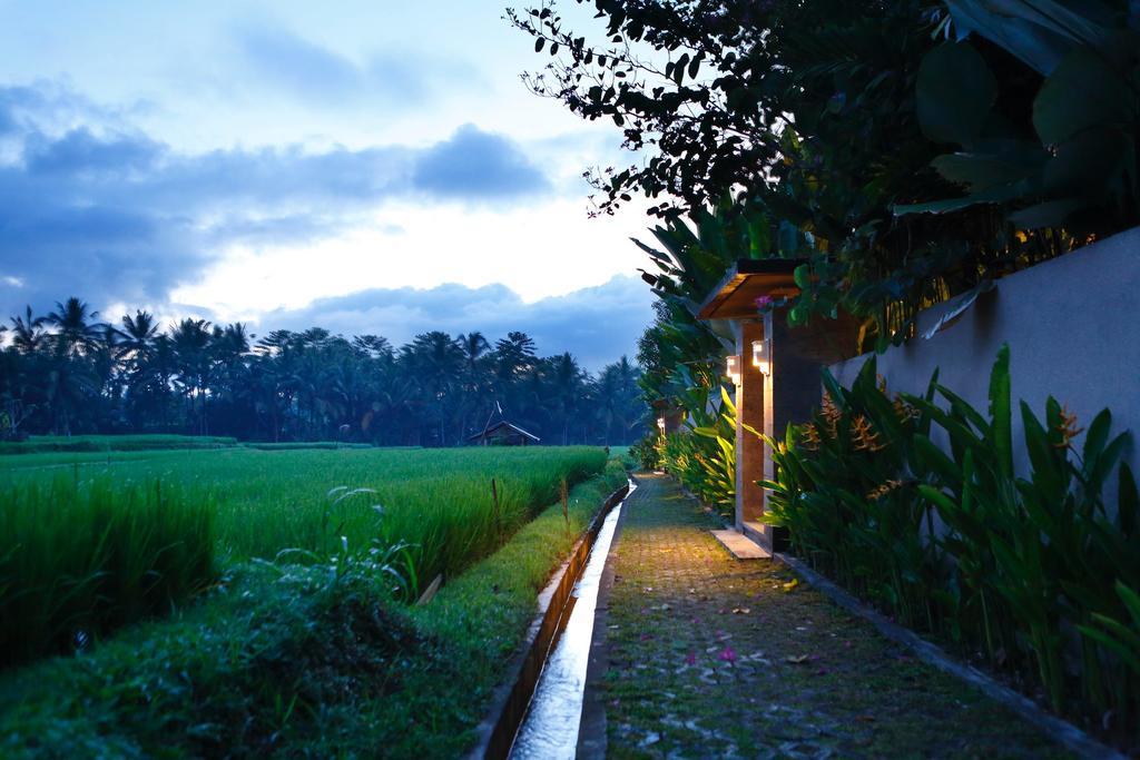 Satori Villas Bali Ουμπούντ Εξωτερικό φωτογραφία